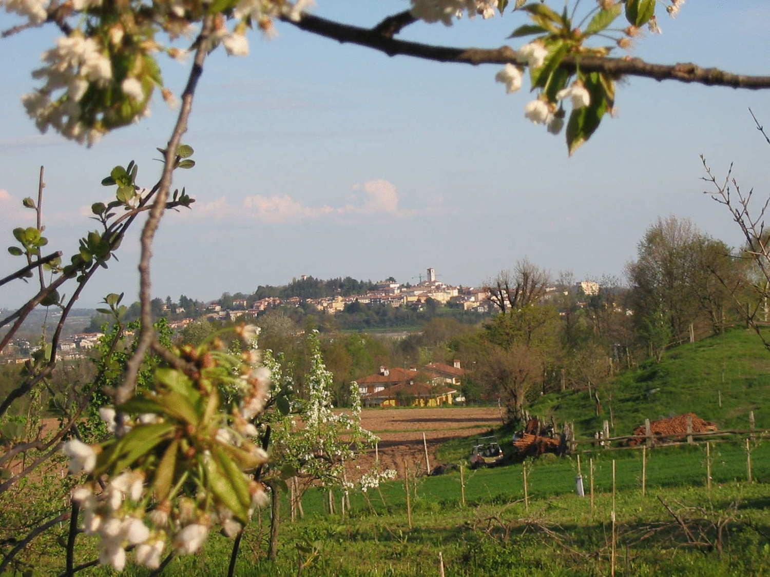 Agriturismo Casa Rossa Ai Colli Ragogna Exterior photo